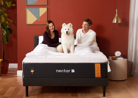 Couple sitting with their dog on a Nectar Premier Copper mattress