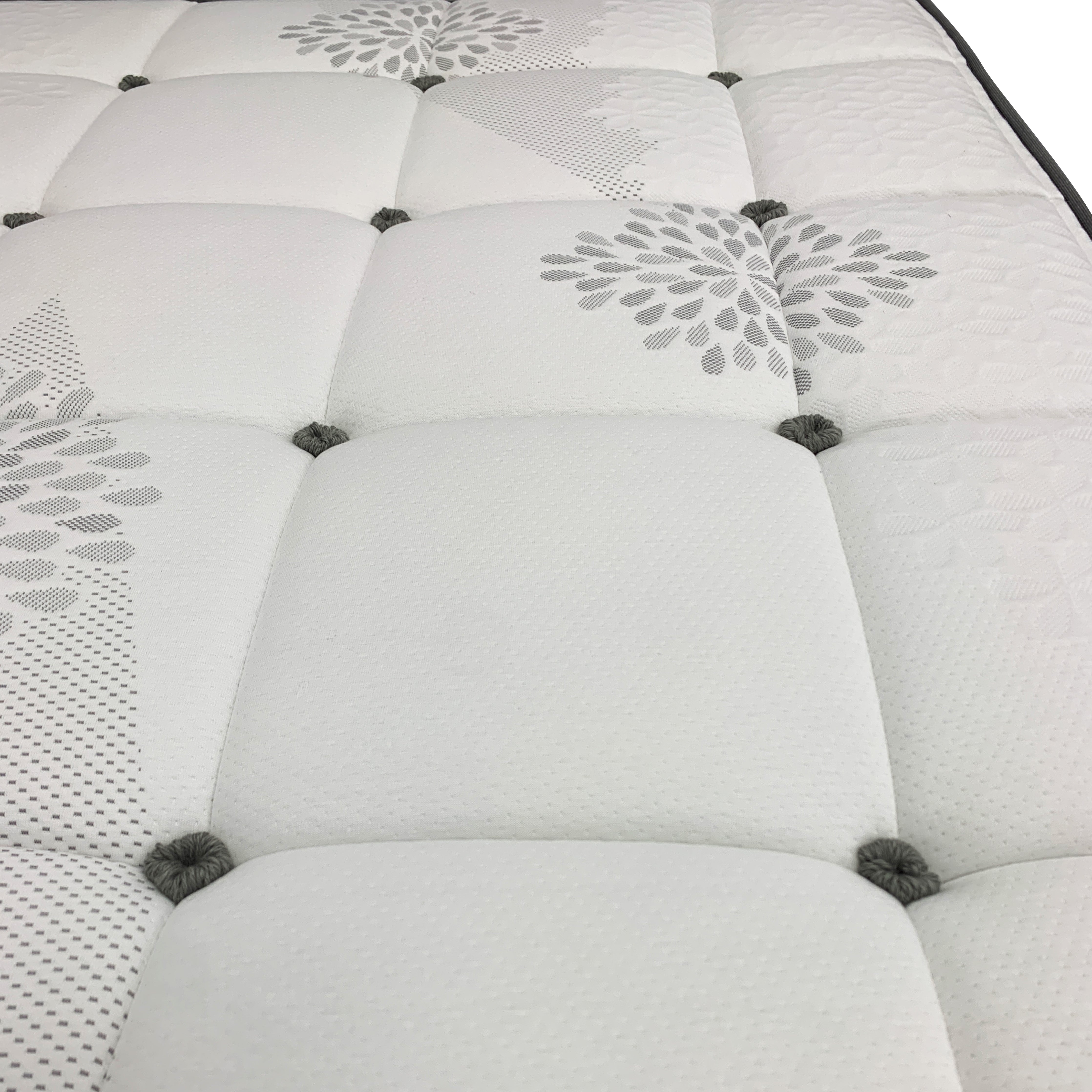 Buy Aspen Organic Latex Hybrid Mattress Now